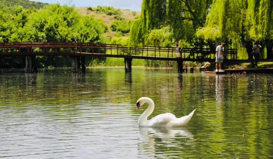 Ferienwohnung Charming House Pogradec Exterior foto
